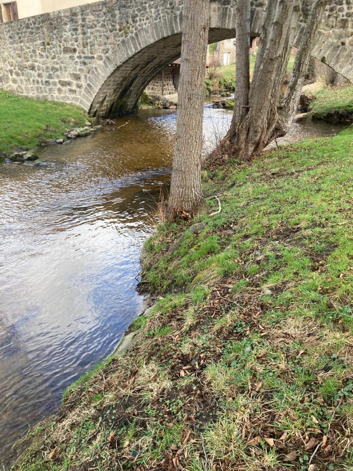 Jolie Maison De Campagne, Compostelle Villa Soleymieux Luaran gambar